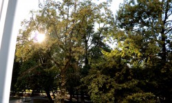 Өлкөдө октябрь айында кандай аба ырайы күтүлөт?