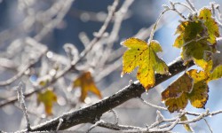 Өлкөнүн бийик тоолуу райондоруна кар жаап, үшүк жүрүшү күтүлөт