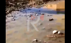 Элдик репортер: Сазга айланган көчө