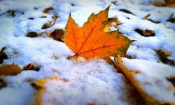 Кыш мезгилине карата соңку даярдыктар көрүлүүдө