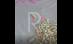 Элдик репортер: Курт аралашкан кесмелер