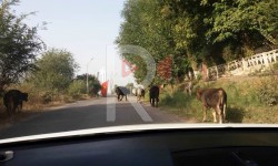 Элдик репортер: Майлуу-Суудагы шаар аралаган уйлар