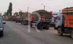 Элдик репортер: Кант кызылчасы жүктөлгөн унаалардын кезеги бир нече чакырымга созулууда