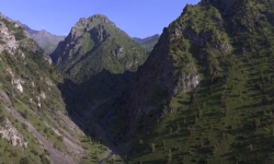 Бишкекте эл аралык тоо форуму болот