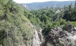 Арстанбап жаңгак токоюн коргоо зарылдыгы жаралды 