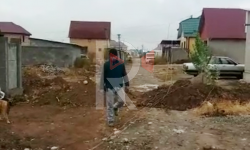 Элдик репортер: Ак-Ордо конушунда электр чубалгылары жерде жатат...