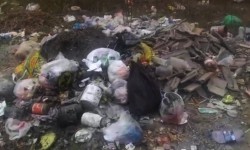 Элдик репортер: Селекция айылынын таштандыга толгон көчөлөрү