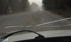 Элдик репортер: жол азабы, көр азабы...