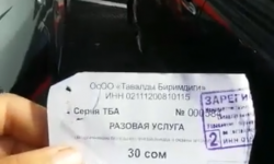 Элдик репортер: Жолдун жээгин унаа токтотуучу жайга айландырган ЖЧК