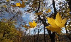 Бир аптага карата аба ырайы: күн жылуу болот 