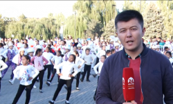 Маданият - ынтымактын данакери