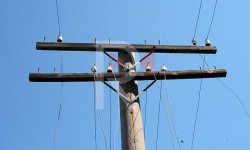 Элдик репортер: Короодогу электр түркүк кооптуулук жаратууда