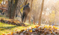 Түшкөн жалбырактарды өрттөгөндөргө айып салынат