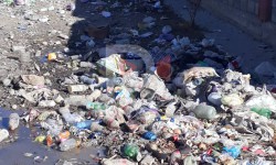 Элдик репортер: Таластын Покровка айыл өкмөтүндөгү таштандыга толгон көчө 