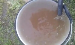 Элдик репортер: Өзбекстан менен чектеш Жаңы-Шаар айылында таза суу көйгөйү курч