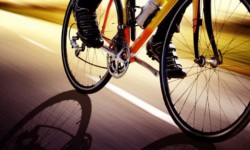 Бакай-Атада веложарыш уюштурулду