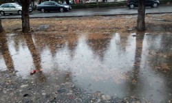 Элдик репортер: шаар ичиндеги арыктар таштанды, жалбырактардан качан тазаланат?