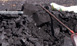 Каракол шаарында көмүрдүн баасы эмнеге кымбат?