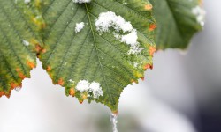 Өлкө аймагында аба ырайы кескин өзгөрөт