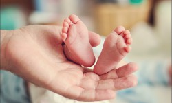 Жөлөк пулдар боюнча мыйзамдын аткарылышын текшере турган жумушчу топ түзүлдү