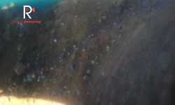 Элдик репортер: Бишкек - Ош жолуна таштанды ыргыткандар толтура, тазалаган эч ким жок