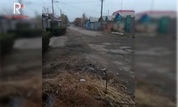 Элдик репортер: көчөдөгү канализация үчүн казылган аң  жылдап турат