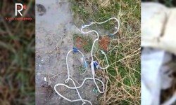 Элдик репортер: Жол жээгинде чачылып жаткан медициналык калдыктар