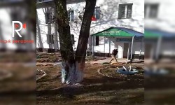 Элдик репортер: Миң -Куш айылындагы пенсионерлер жаштарга качан иш ордун бошотот? 