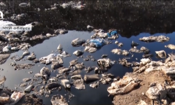  "Тазалык" муниципалдык ишканасы 9 айдын жыйынтыгын чыгарды