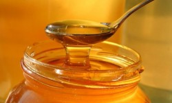 Кыргызстандын балы дүйнөдө эң сапаттуу деп табылды