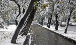 Өлкө аймагында 14-ноябрга чейин туруксуз аба ырайы сакталат