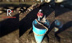 Элдик репортер: жылан, курт-кумурускаларга толгон Садовое айылындагы таза суу түтүгү