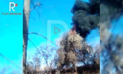 Элдик репортер: Кайыңдыны кара түтүнгө орогон завод