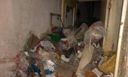 Бишкектеги көп кабаттуу үйлөрдүн бириндеги батирден тонналаган таштанды чыгарылды