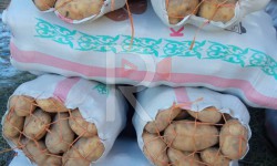 Элдик репортер: Картошканын баасы чыкпай, дыйкандардын мээнети акталбай жатат