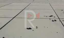 Элдик репортер: Токтогул шаарынын борбордук аянты аттын тезегине толуп турат