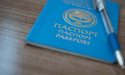 331 этникалык кыргыз Кыргызстандын жарандыгын алышты