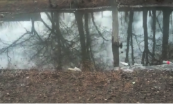 Элдик репортер: Сокулуктун Жаңы-Пахта айыл өкмөттүндөгү көлмөгө айланган таза суу 