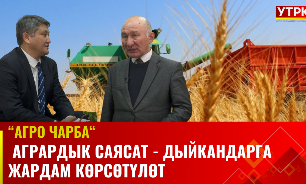 Агрардык саясат - Дыйкандарга жардам көрсөтүлөт / АГРО ЧАРБА