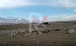 Элдик репортер: Ак-Талааны каптаган таштанды талаасы