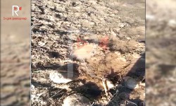 Элдик репортер: Сапатсыз курулган түтүктөр айыл тургундарын түйшөлтүүдө