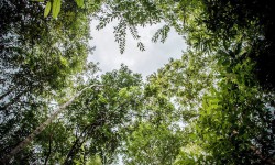 Жашыл климаттык фонд Кыргызстанга грант катары 10 миллион доллар бөлөт