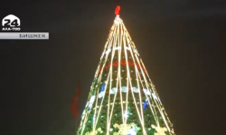 Өлкөнүн башкы балатысы жанды