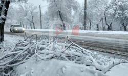 Элдик репортер: Тротуары жок оңдолгон көчө кооптуулук жаратууда