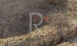 Элдик репортер: Жайыт жерлерин көзөмөлдөгөн мекеме барбы?