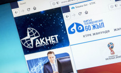 "Акнетке" карата козголгон кылмыш иштерди ИИМ иликтейт