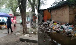Элдик репортер: Кара-Балта шаарында тазалыкка көңүл бурулбай калды