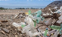 Таштадынын 26 пайызын пластик буюмдары менен баштыктар түзөт