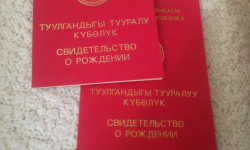 Ошто жаңы төрөлгөн балдарга күбөлүк берилбей жатат