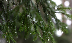 ӨКМК: шашылыш билдирүү